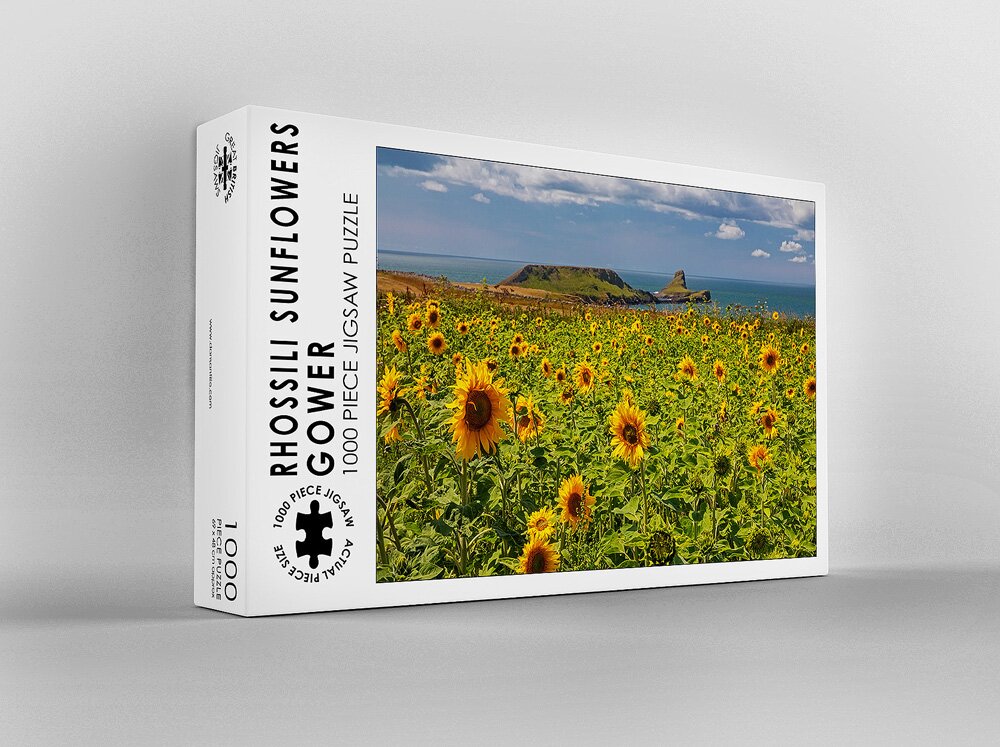Rhossili Sunflowers