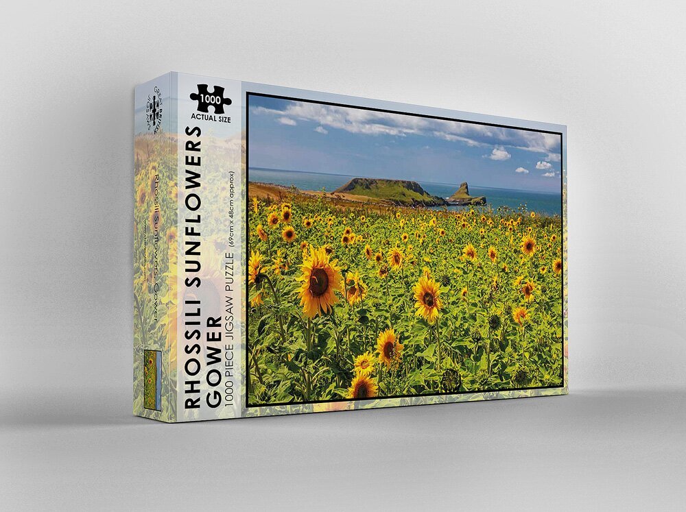 Rhossili Sunflowers